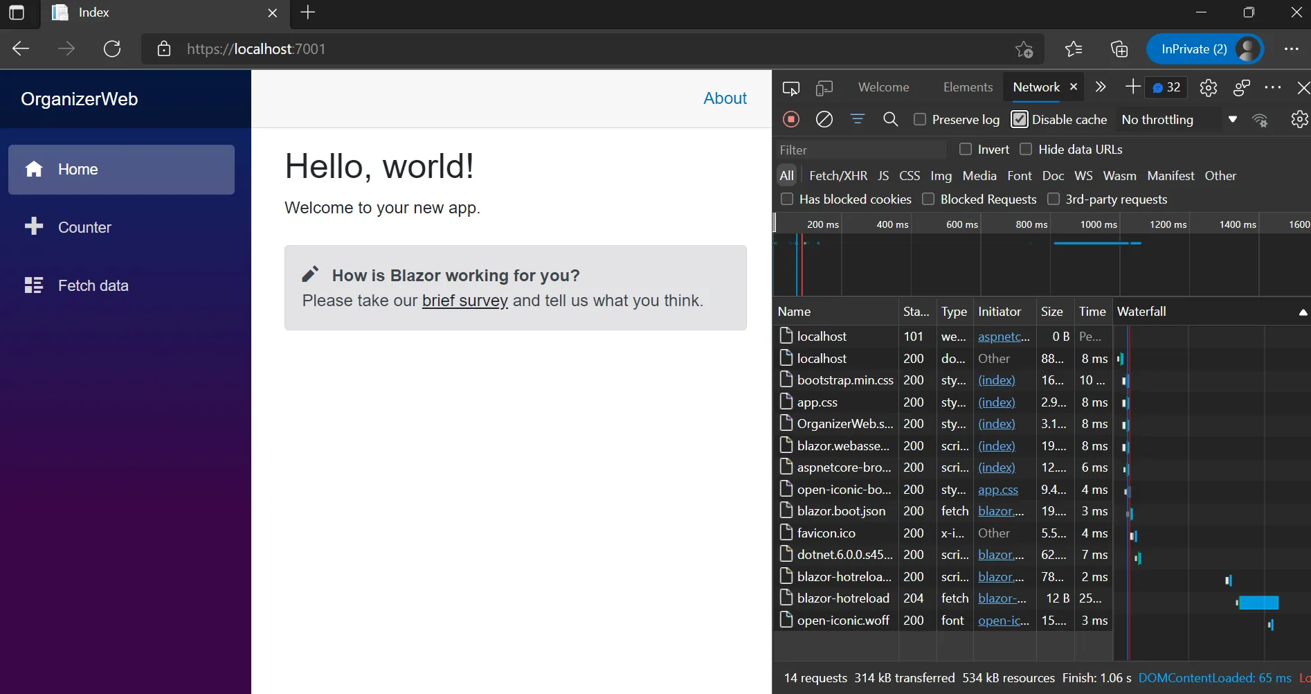 Running dotnet watch the weather forecast page