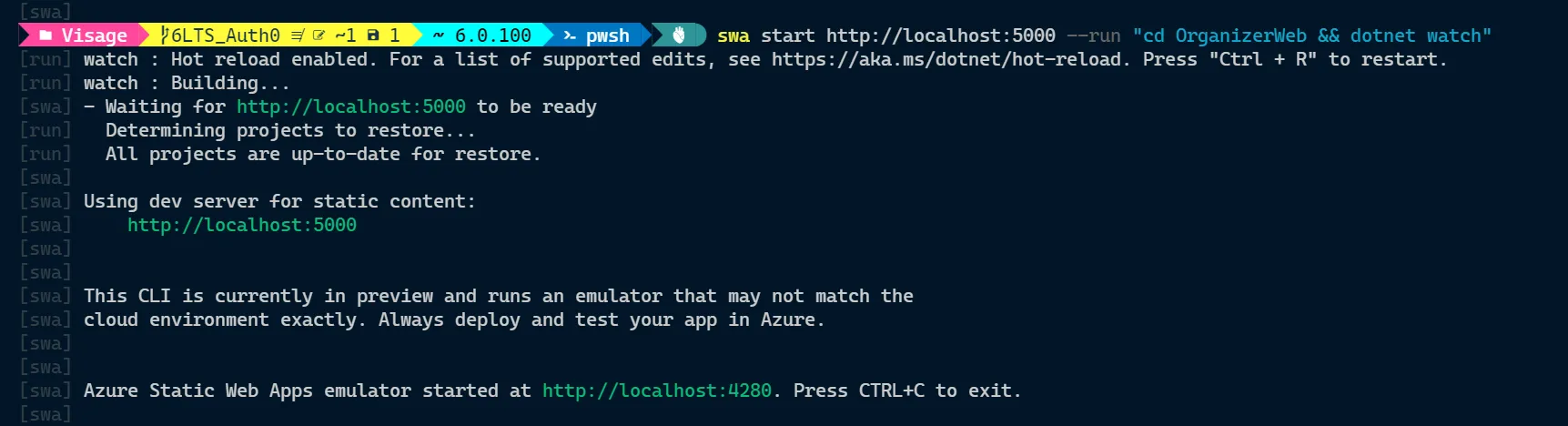 Azure SWA CLI terminal logs